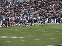 Seahawks 102