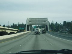 Seahawks 246