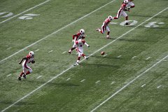 IMG_6331.jpg