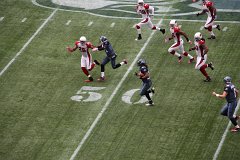 IMG_6336.jpg