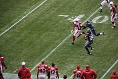 IMG_6337.jpg