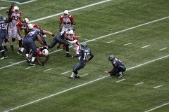 IMG_6345.jpg