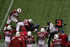 IMG_6354.jpg