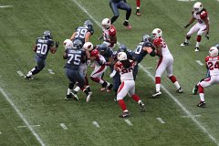 IMG_6362.jpg