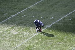 IMG_6374.jpg