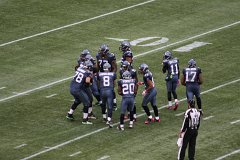 IMG_6408.jpg