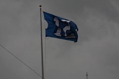 IMG_6421.jpg