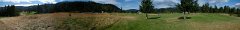 golf-pana