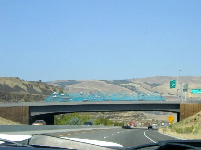 P9141171