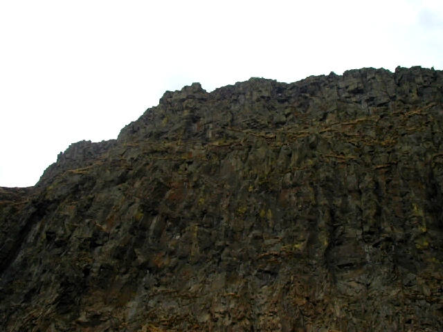 P9151369