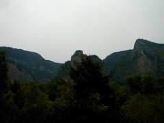 P9151359