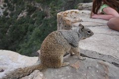 IMG 3571