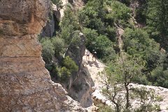 IMG 3658