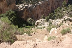 IMG 3663