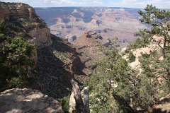 IMG 3667