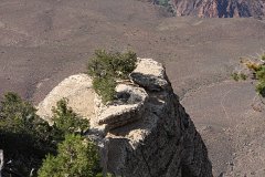 IMG 3717