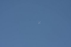 IMG 3728