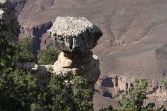 IMG 3730