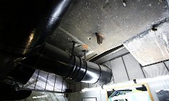 IMG 8815