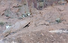 IMG 8873