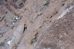 IMG 8874