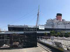 IMG 7184