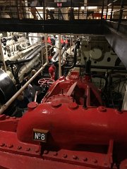 IMG 7234