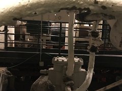 IMG 7244