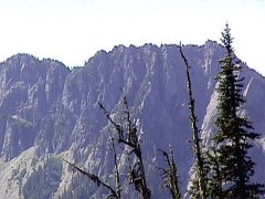 s1c-008f